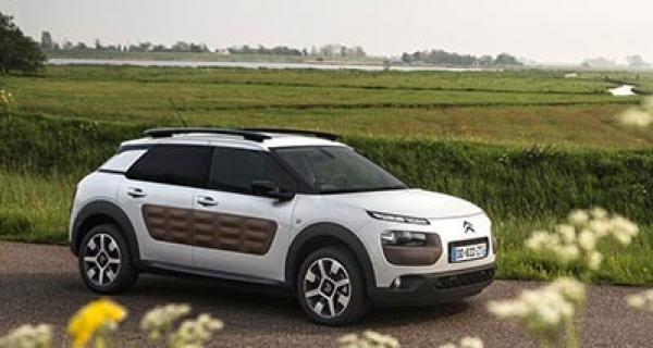 C4 Cactus 2014-